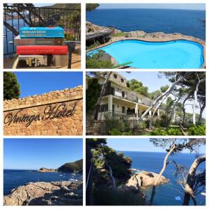 11089186_908145459231439_7311423728758859774_n