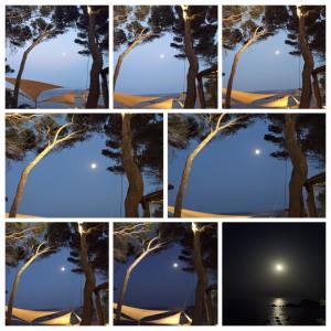 11234909_908809502498368_2263358957965586664_n