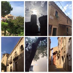 11402728_909406989105286_8217578270406684245_n