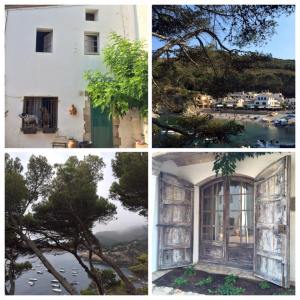 11665524_908755565837095_2060085491233764852_n