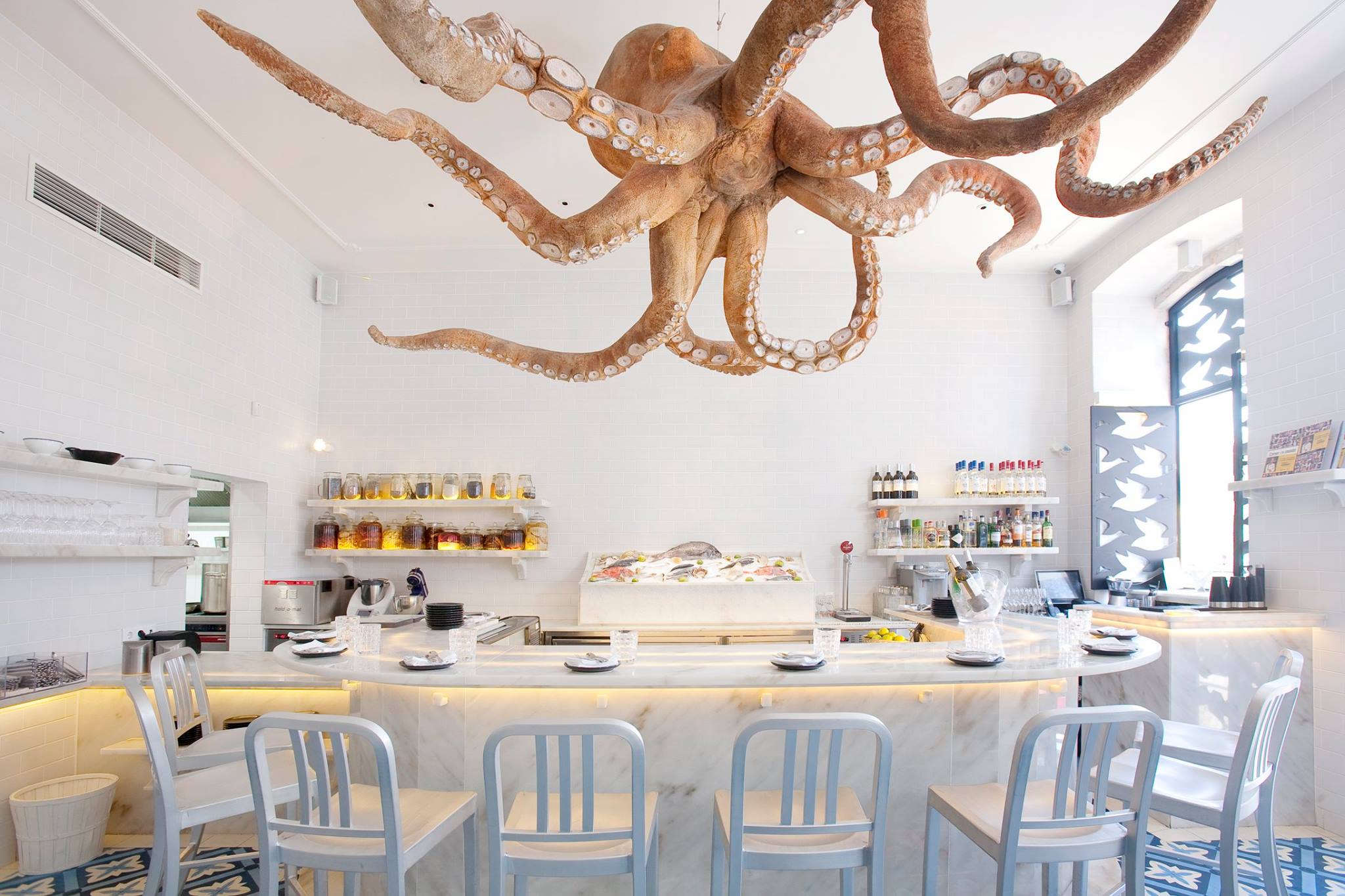 16601579_1229939927061722_8044867453203824828_o