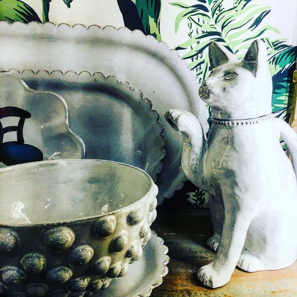 22310365_867787173345969_1334869245820308490_n